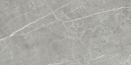 Tau Ceramica Elite Gray 30x60 Boden-/Wandfliese Poliert