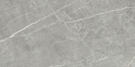 Tau Ceramica Elite Gray 60x120 Boden-/Wandfliese Poliert