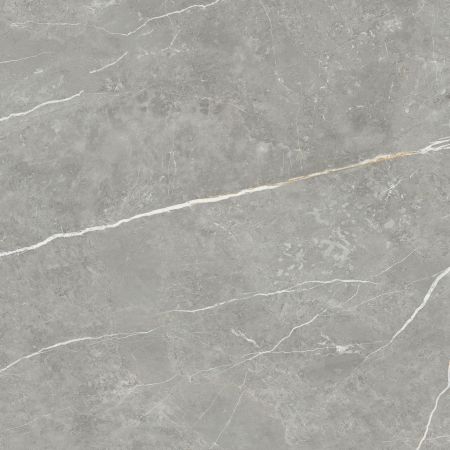 Tau Ceramica Elite Gray 75x75 Boden-/Wandfliese Poliert