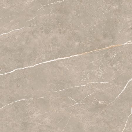 Tau Ceramica Elite Greige 90x90 Boden-/Wandfliese Matt
