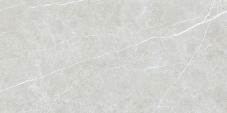 Tau Ceramica Elite Silver 60x120 Boden-/Wandfliese Matt