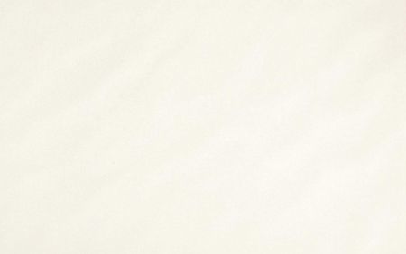 Villeroy und Boch White & Cream white 1391 SW02 0 Wandfliese 25x40 reliefiert-glänzend