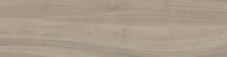 Castelvetro More Grigio 20x120 Wand- und Bodenfliese Matt can-CMR22R4