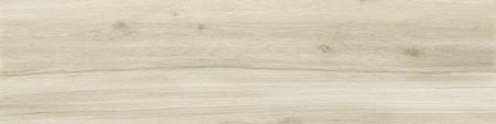 Castelvetro Rustic White 20x120 Wand- und Bodenfliese Matt can-CRT22R1