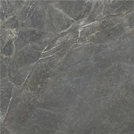 Cinque Masa Color Syrah Natural 120X120 Rect. Bodenfliese | Wandfliese Matt